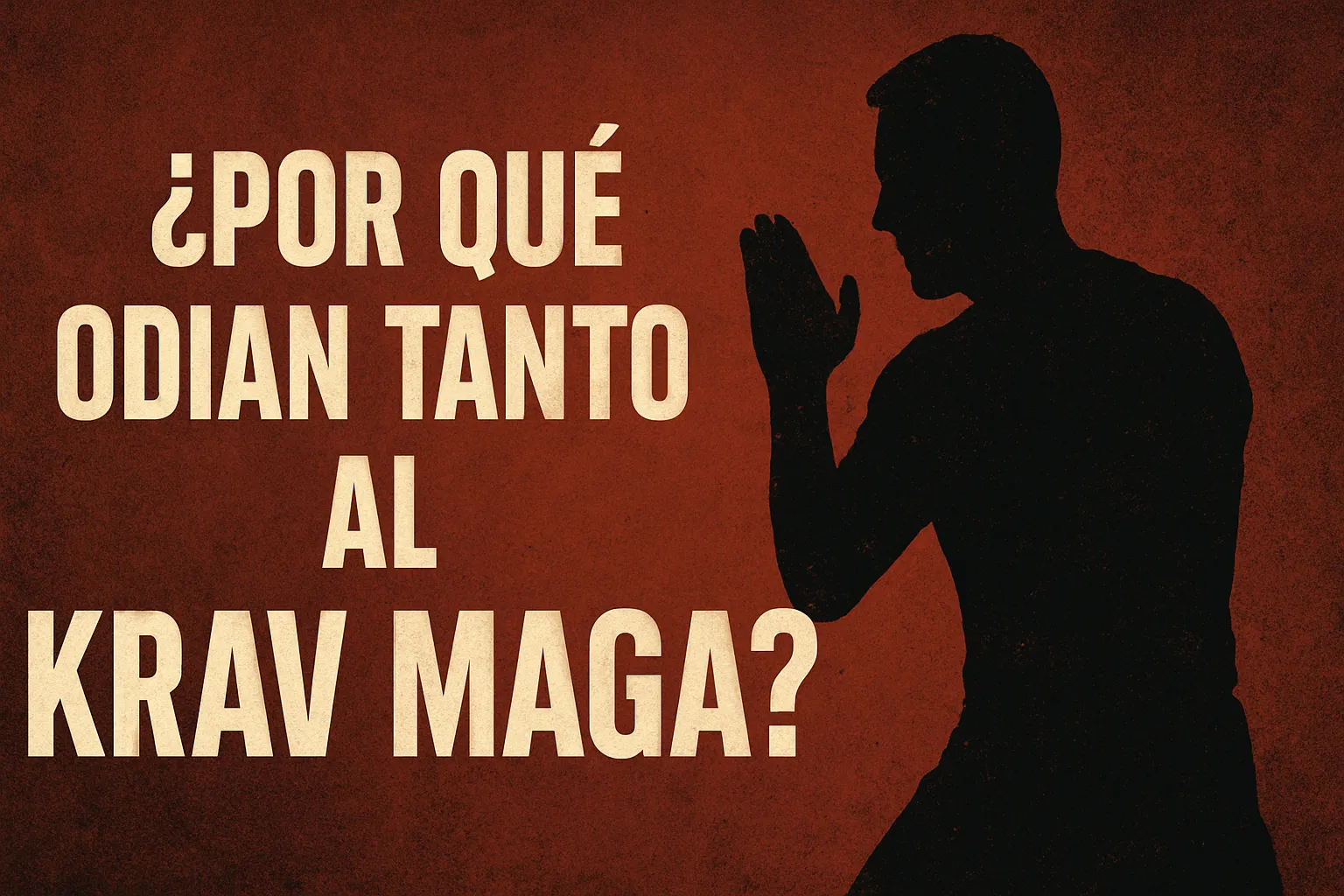 Porque odian tanto al Krav Maga